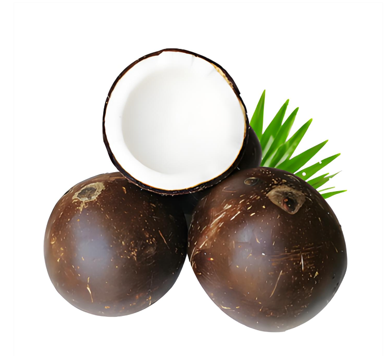 party teller coconut water party teller coconut water